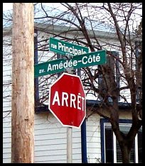 GALERIE COIN PRINCIPALE-AMEDEE COTE